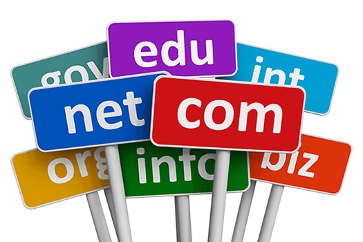 Free Domain Names