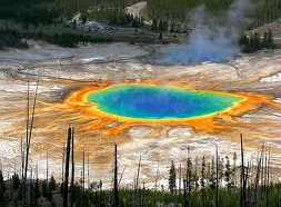 Free Yellowstone Trip Planner