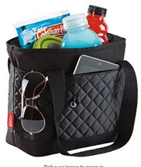 Coleman Cooler Satchel $8.42