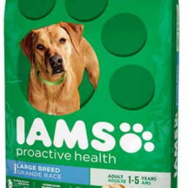 Iams Dog Food Coupon « Oh Yes It's Free