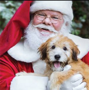Free Pet Photo W/ Santa – Dec. 10th & 11th