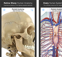 Free Pocket Anatomy App for iOS