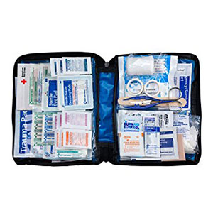 First Aid Essentials Kit Just $14.88