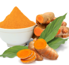 Free Organic Turmeric Samples