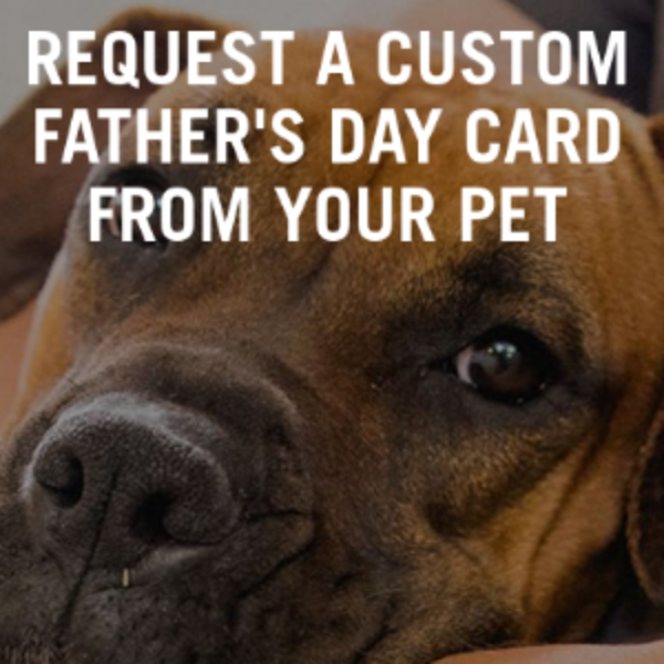 father-s-day-dog-card-free-stock-photo-public-domain-pictures