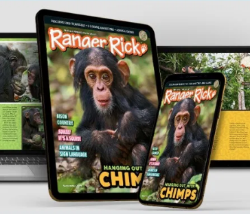 Free Ranger Rick Digital Magazines