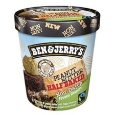 Ben & Jerry's Non-Dairy Coupon