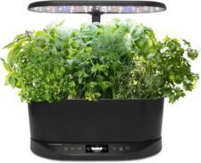 AeroGarden Bounty Basic Indoor Garden Just $151.81