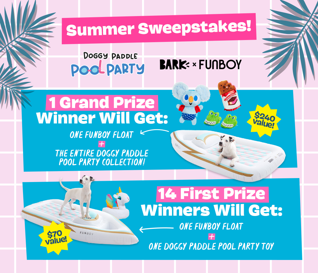 Enter to Win the Ultimate Doggy Pool Party Prize Package