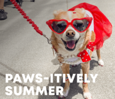 Free event in San Francisco: Paws-itively Summer