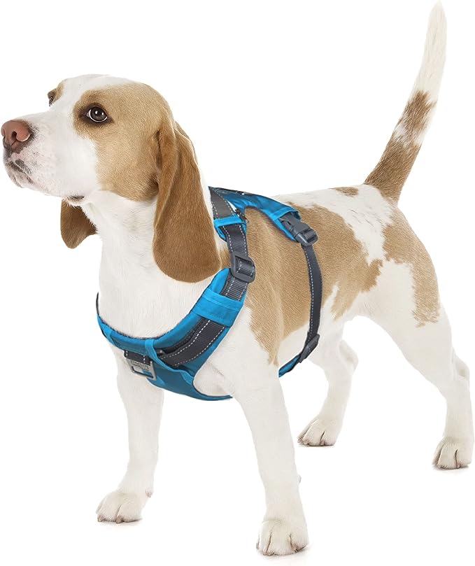 Boulder Adventure Adjustable Dog Harness only $31.00