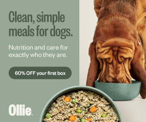 60% discount on your first box of Ollie’s customized meals