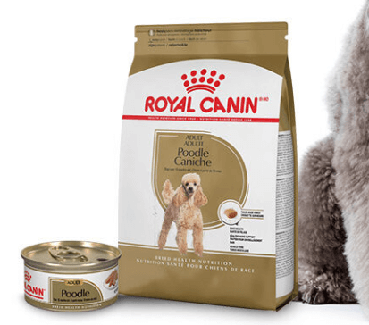 Possible Free Royal Canin Poodle Chatterbox