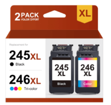 2-Pack Remanufactured Canon 245XL Ink Cartridges