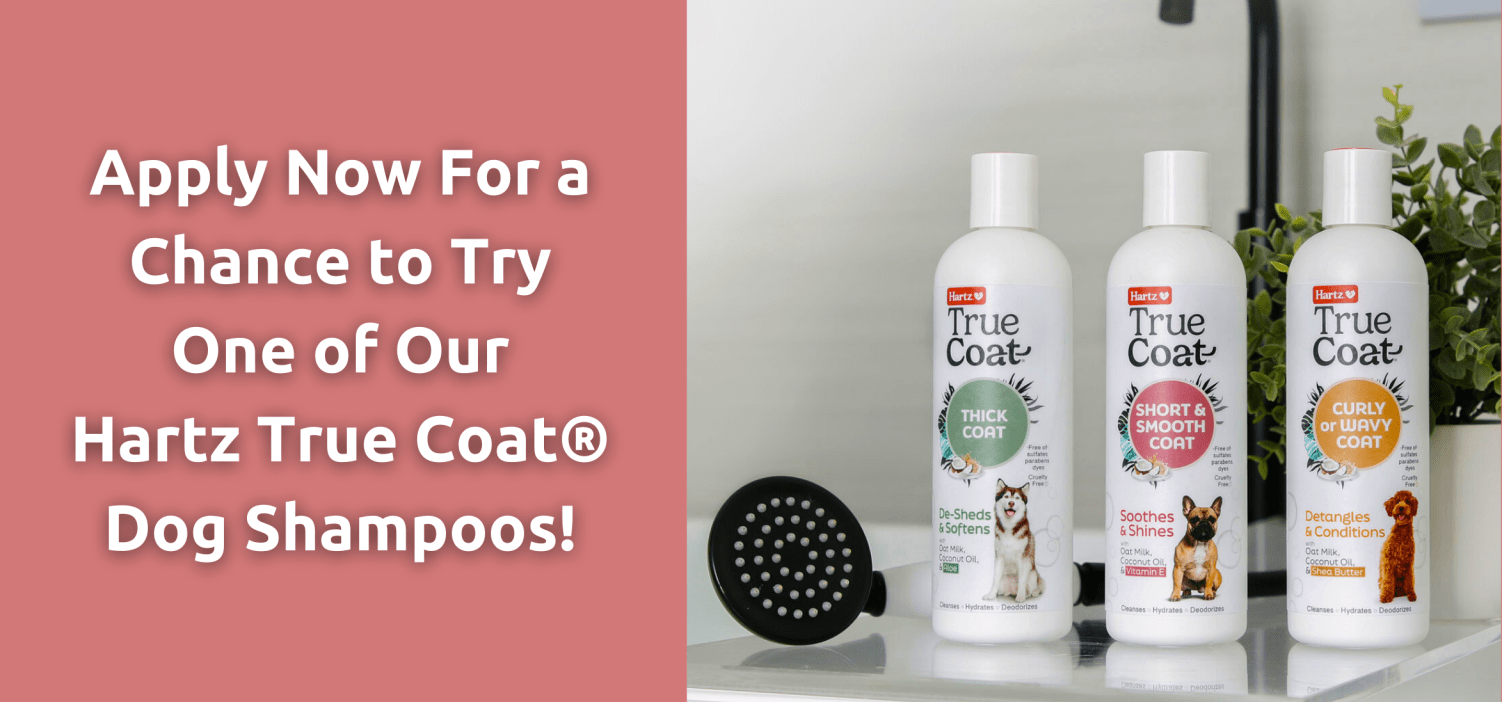 Get a Hartz True Coat Dog Shampoo Sample