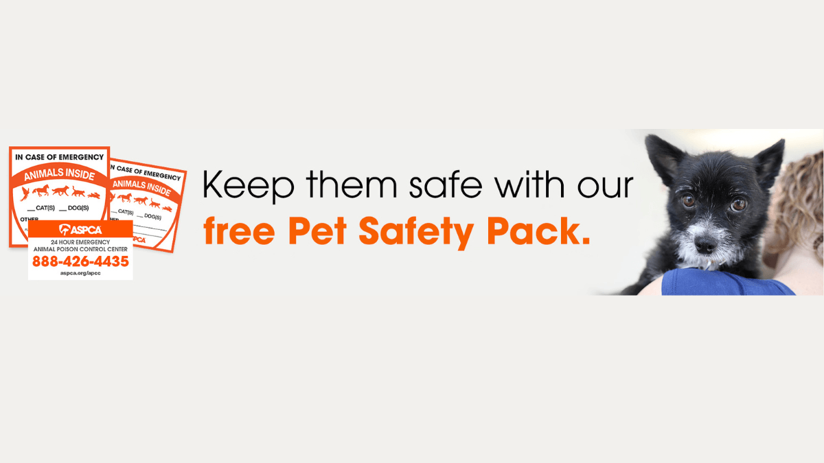 Free ASPCA Pet Safety Pack Kit